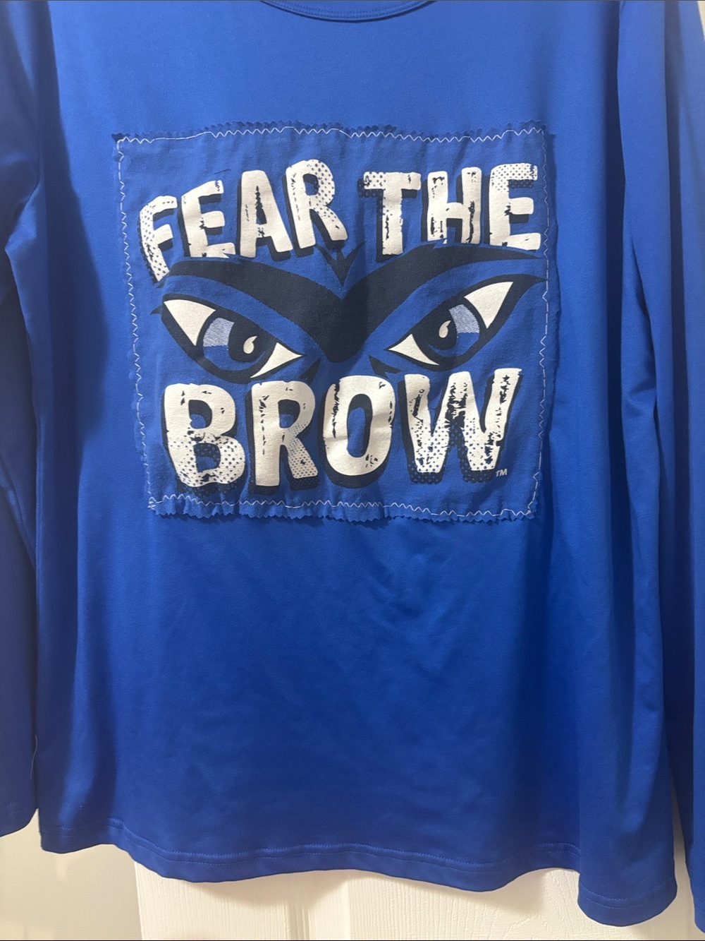 Fear The Brow Blue Long-Sleeve Graphic Top - Picture 3 of 7